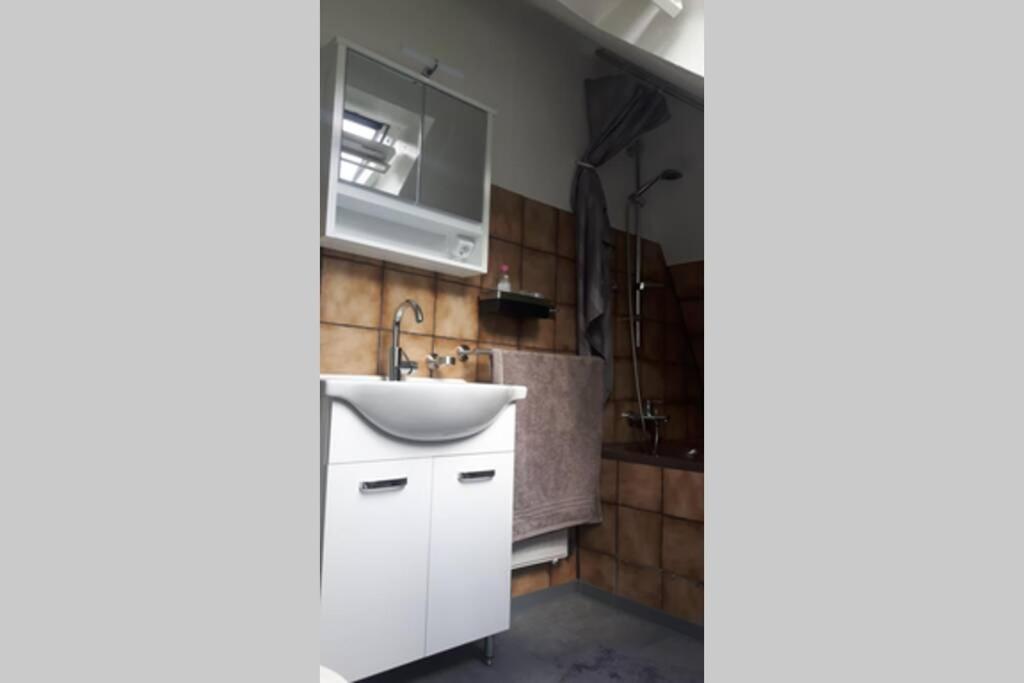 Helle 2-Zimmerwohnung Am Stadtrand 希尔德斯海姆 外观 照片